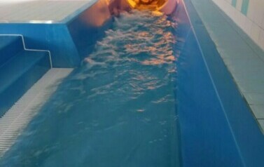 20241125 (1)basen