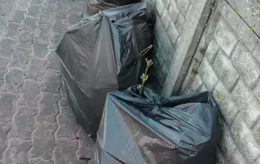 2025.04.23 Dzień Ziemi w OP (2)