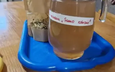 20251017 Światowy Dzień Warzyw i Owoc&oacute;w (8)