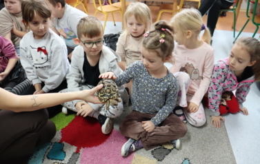 20251212 ż&oacute;łw i ślimaki (66)