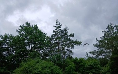 2026.06.15-16 (5)