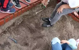 2025.04.24 sadzimy i siejemy (5)