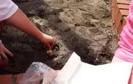 2025.04.24 sadzimy i siejemy (4)