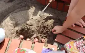 2025.04.24 sadzimy i siejemy (3)