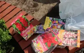 2025.04.24 sadzimy i siejemy (2)