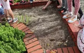 2025.04.24 sadzimy i siejemy (9)