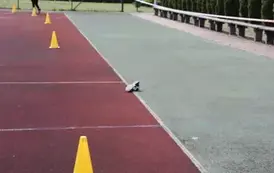 2025.04.29 ŚWIĘTO 3 MAJA I BIEGI (51)