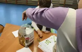 202505 podsumowanie akcji Goraczka złota (2)