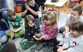 20251212 ż&oacute;łw i ślimaki (38)