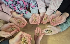 20260114_przedszkolaki_dokarmiaja_ptaki (2)