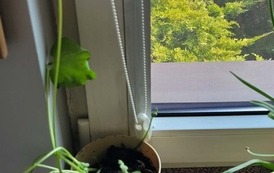 2026.03 kreatywni pierwszoklasisci (3)