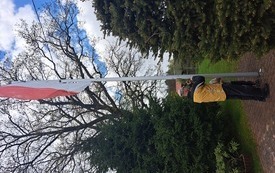 Obchody świąt majowych 2