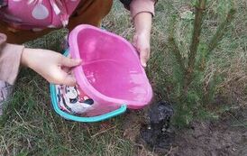 380082415_1059034005095731_3303702462429020958_n