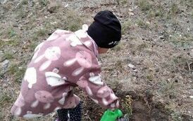 384545913_644773044452772_8468537896160448537_n