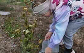 386773105_703901701629904_1428579247404271251_n