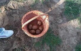 387560822_632897592365459_780368034249038145_n