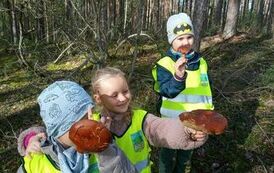 387637296_734919158459154_2180544045277335667_n