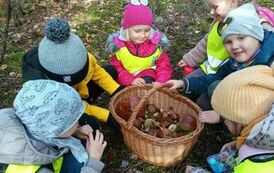 370213452_197546610030779_2919068016735322309_n