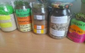 387512607_3677867999156732_1620460306254382022_n