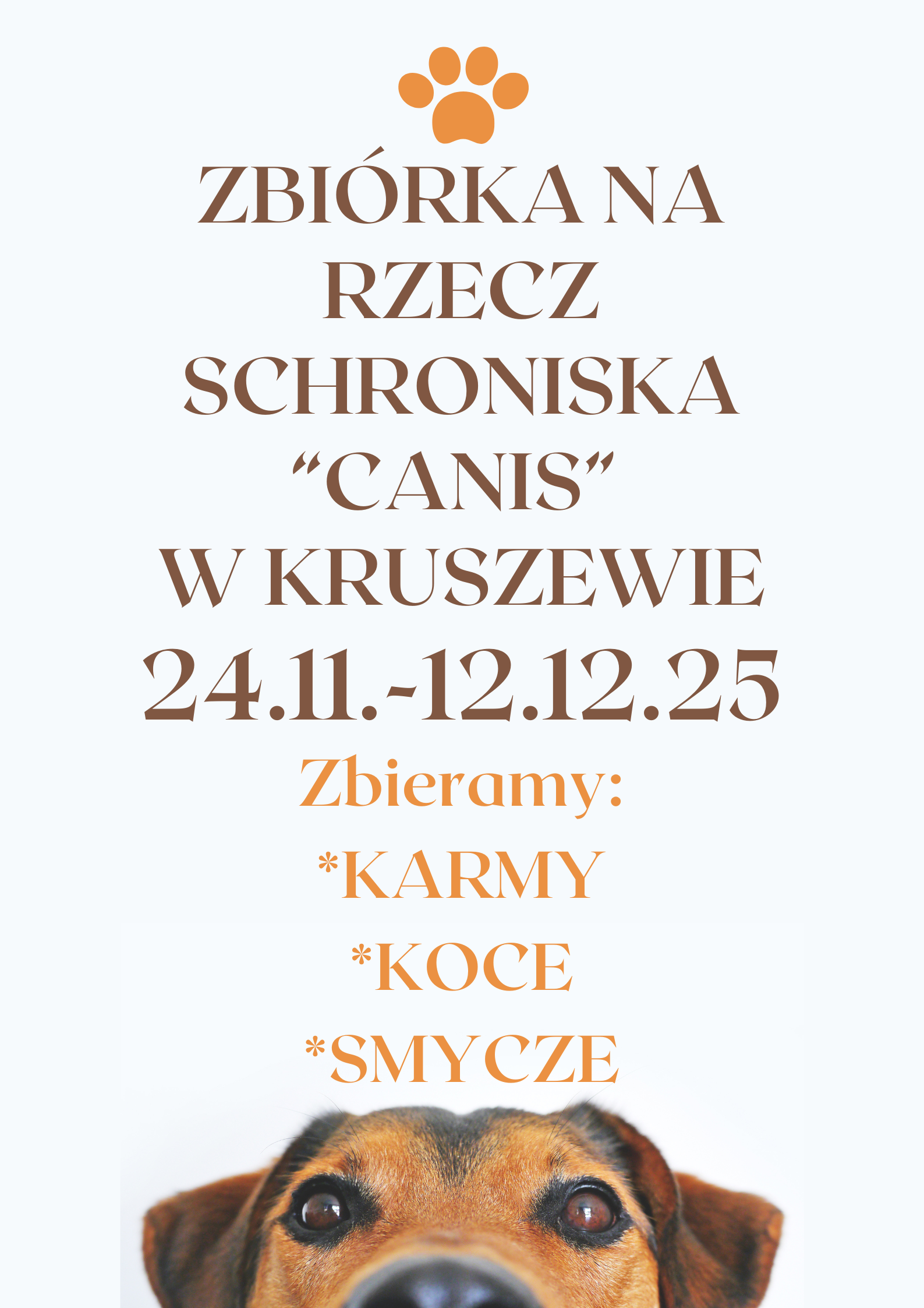 Plakat o&nbsp;zbi&oacute;rce na&nbsp;schronisko dla zwierząt.