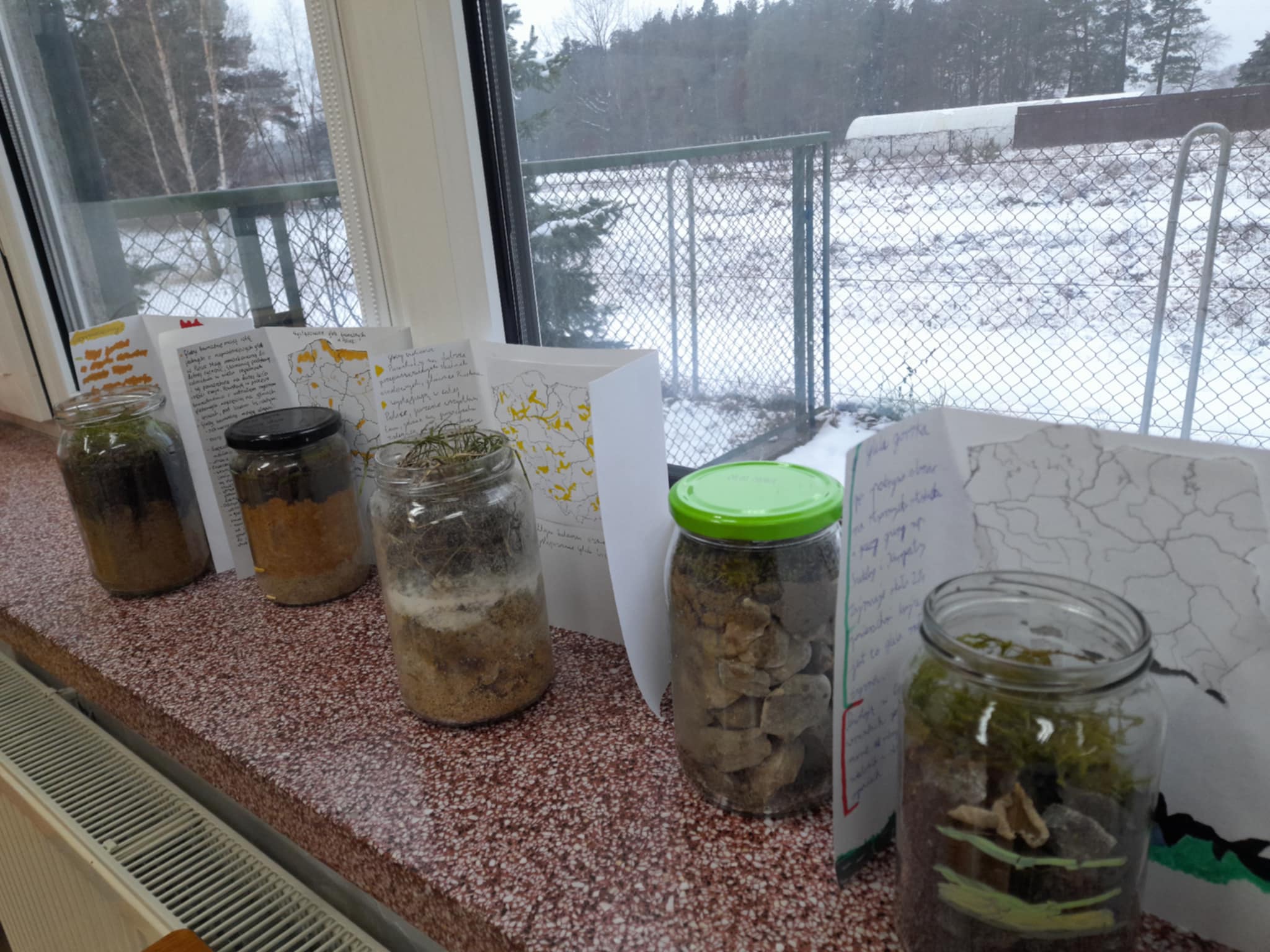 Słoiki stojące na&nbsp;parapecie; w&nbsp;słoikach stworzone przez uczni&oacute;w profile glebowe.