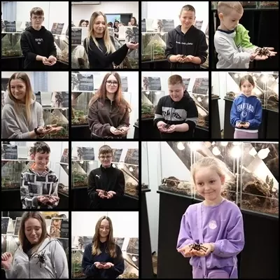 Zdjęcie do Twarzą w twarz z jadowitym światem &ndash; szkolna wyprawa na wystawę pajęczak&oacute;w