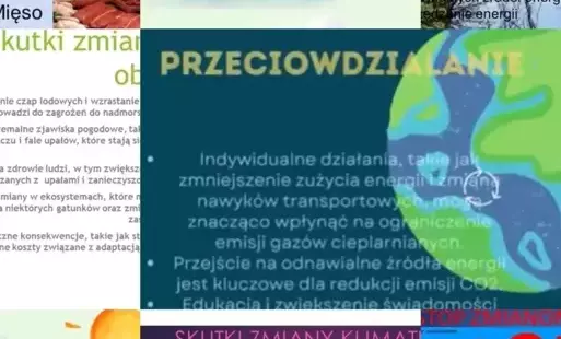 Zdjęcie do Odnawialne źródła energii - tworzymy ulotki informacyjne