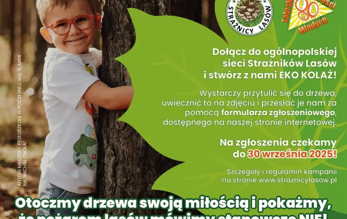 Zdjęcie do PRZYTUL SIĘ DO DRZEWA