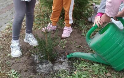 Zdjęcie do Sadzimy drzewa!