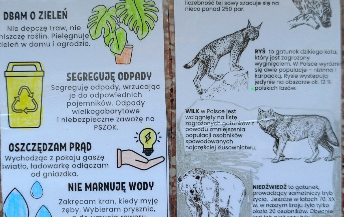 Zdjęcie do EKOfeston, czyli og&oacute;lnopolski festiwal ekologii  w największym plenerze świata czyli w Internecie!